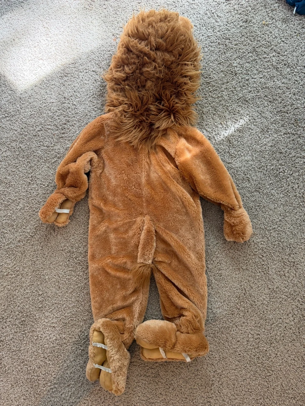 Cozy Lion Costume 3T